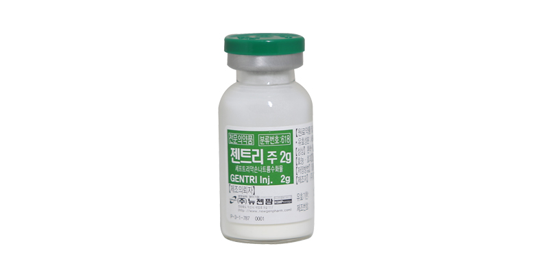 젠트리주 2g